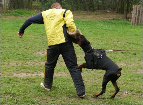 Training in Prague 10/2007